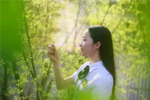 2020年兔生肖每月运程