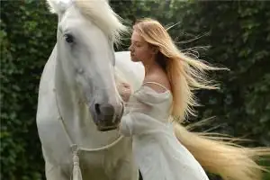 生肖马的命运如何？出生在几点最好？