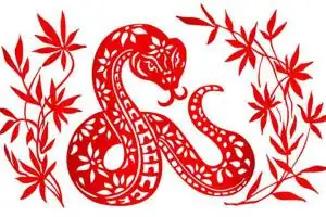 生肖蛇什么时辰出生财运最旺