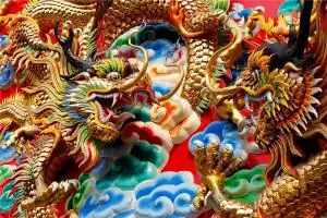 88年的龙女2024年运势怎么样