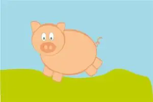 属猪今年的灾难在几月