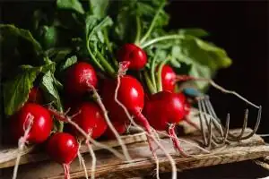 梦到萝卜是什么意思啊