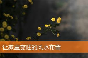 /fengshui/jiaju/39714.html