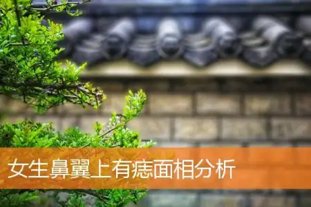 女生鼻翼上有痣面相分析