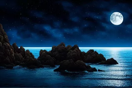 2001年属蛇几岁遇真爱